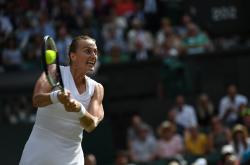 PG-包含科维托娃迎来十赛季高光表现，IG球迷沸腾！的词条